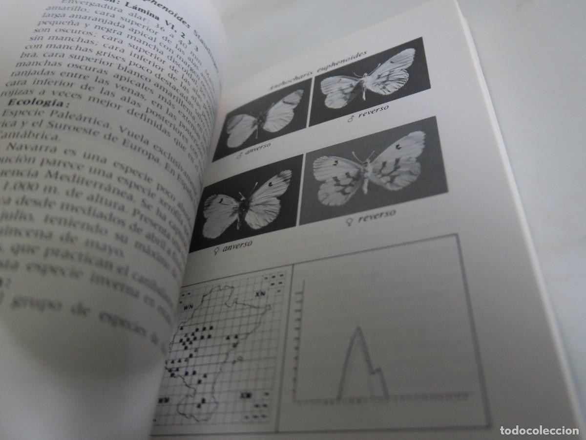 Libros de segunda mano: MARIPOSAS DIURNAS - Fauna de Navarra - Foto 3