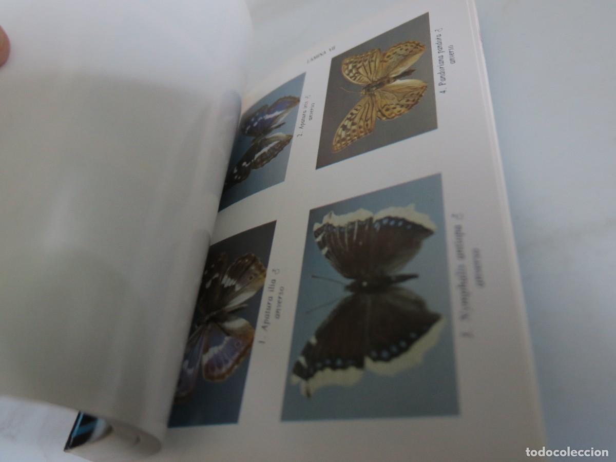 Libros de segunda mano: MARIPOSAS DIURNAS - Fauna de Navarra - Foto 4