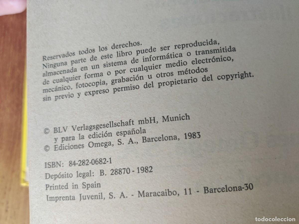 Libros de segunda mano: El jard&iacute;n en casa Ediciones Omega Margot Schubert - Foto 6