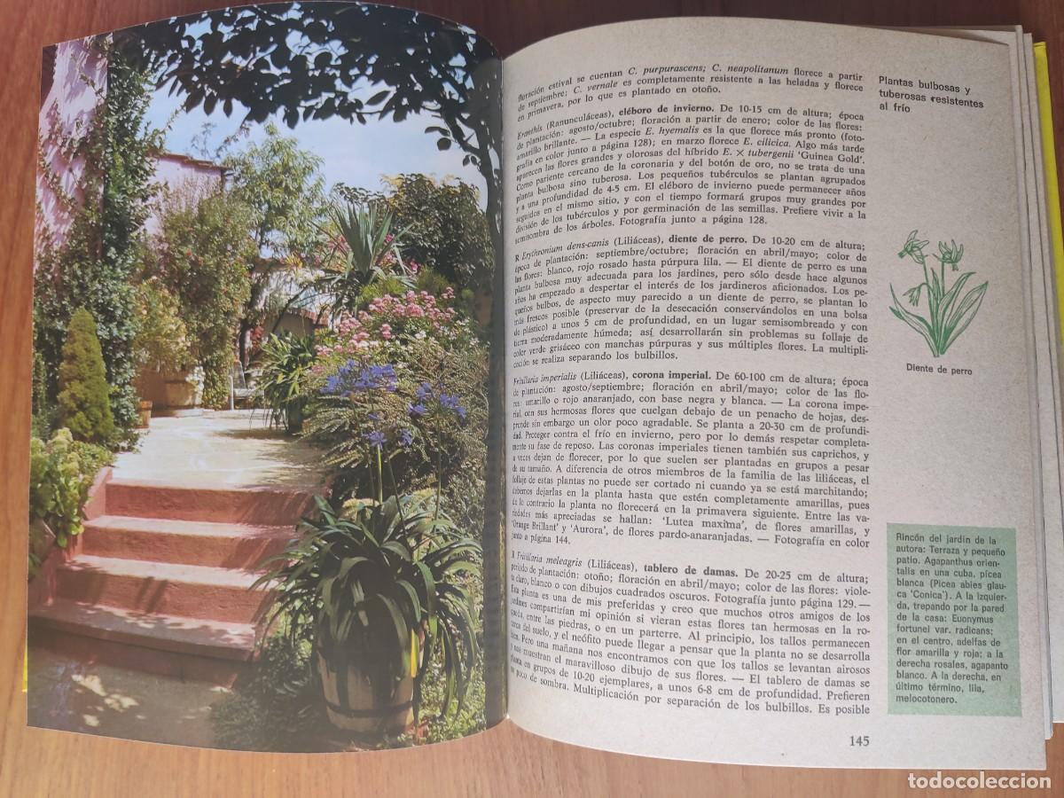Libros de segunda mano: El jard&iacute;n en casa Ediciones Omega Margot Schubert - Foto 7