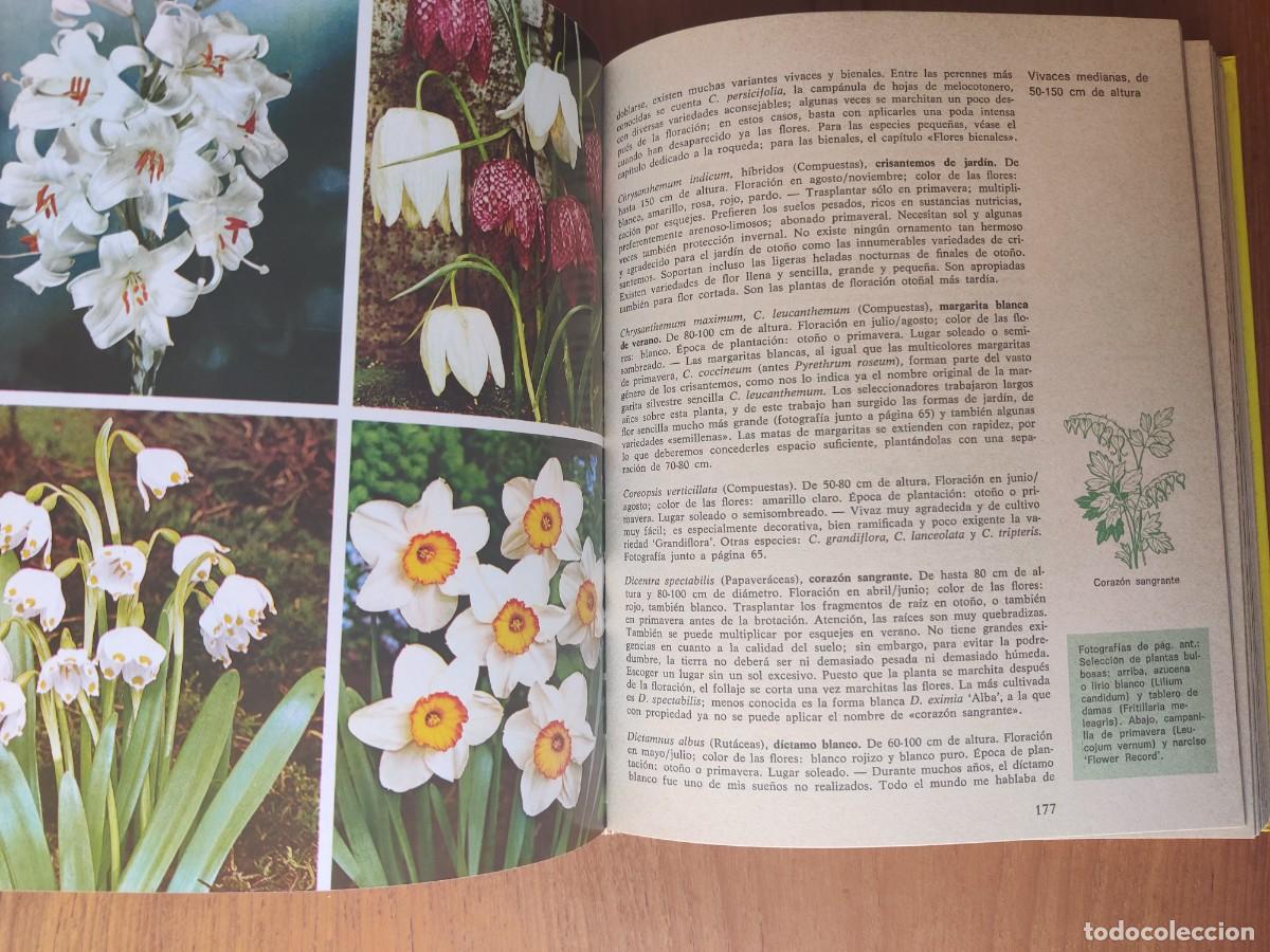 Libros de segunda mano: El jard&iacute;n en casa Ediciones Omega Margot Schubert - Foto 8