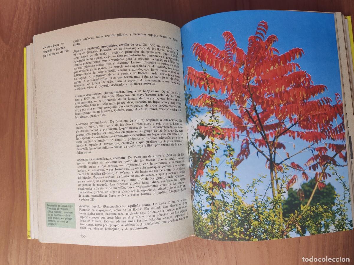 Libros de segunda mano: El jard&iacute;n en casa Ediciones Omega Margot Schubert - Foto 9