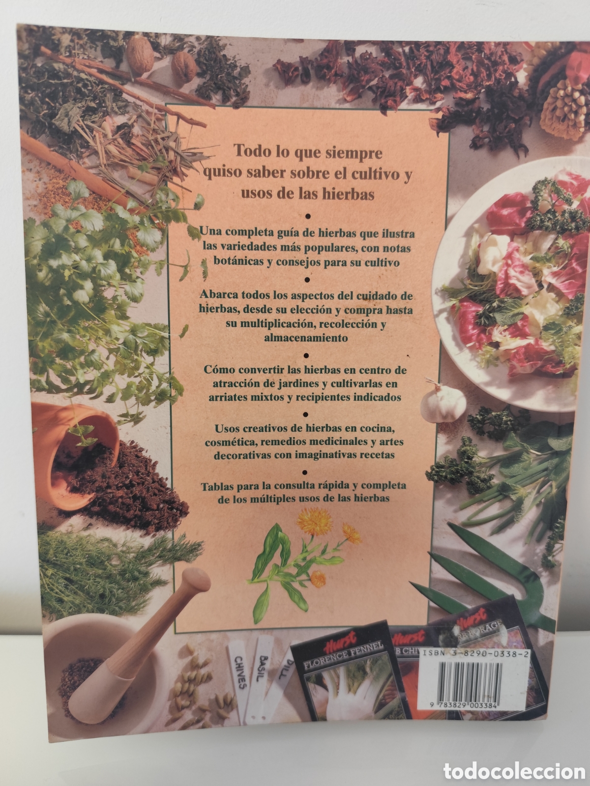 Libros de segunda mano: LA BIBLIA DE LAS HIERBAS / KONEMANN- LIBRO DE CONSULTA DE HIERBAS, MUY VISUAL. - Foto 2