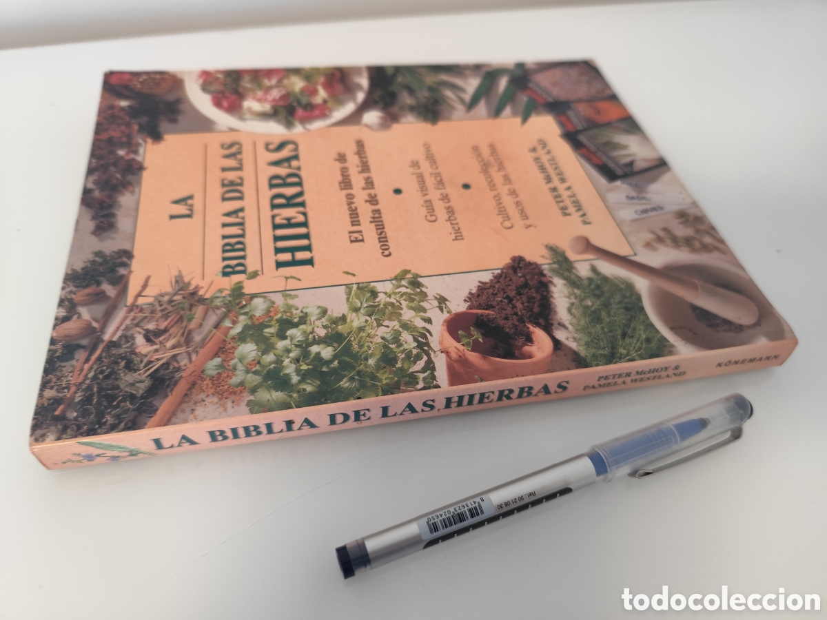 Libros de segunda mano: LA BIBLIA DE LAS HIERBAS / KONEMANN- LIBRO DE CONSULTA DE HIERBAS, MUY VISUAL. - Foto 3