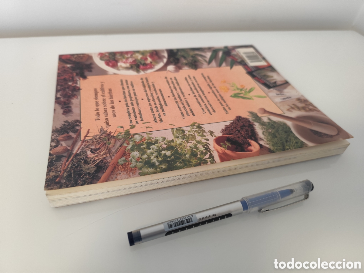 Libros de segunda mano: LA BIBLIA DE LAS HIERBAS / KONEMANN- LIBRO DE CONSULTA DE HIERBAS, MUY VISUAL. - Foto 4