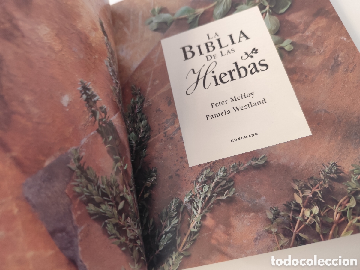 Libros de segunda mano: LA BIBLIA DE LAS HIERBAS / KONEMANN- LIBRO DE CONSULTA DE HIERBAS, MUY VISUAL. - Foto 6