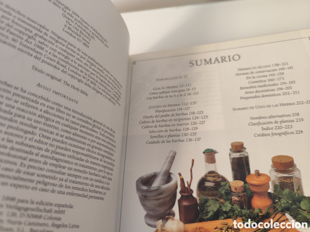 Libros de segunda mano: LA BIBLIA DE LAS HIERBAS / KONEMANN- LIBRO DE CONSULTA DE HIERBAS, MUY VISUAL. - Foto 7
