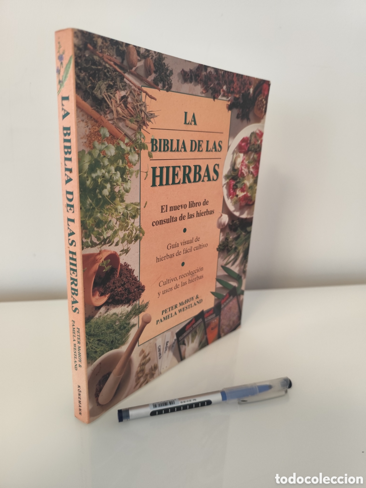 Libros de segunda mano: LA BIBLIA DE LAS HIERBAS / KONEMANN- LIBRO DE CONSULTA DE HIERBAS, MUY VISUAL. - Foto 16