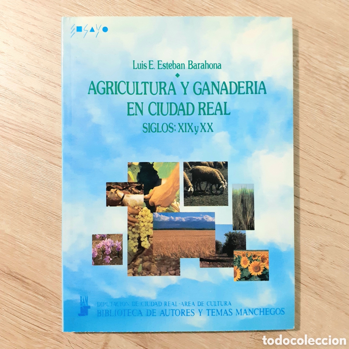 Second hand books: Libro AGRICULTURA Y GANADER&Iacute;A EN CIUDAD REAL. SIGLOS XIX Y XX
