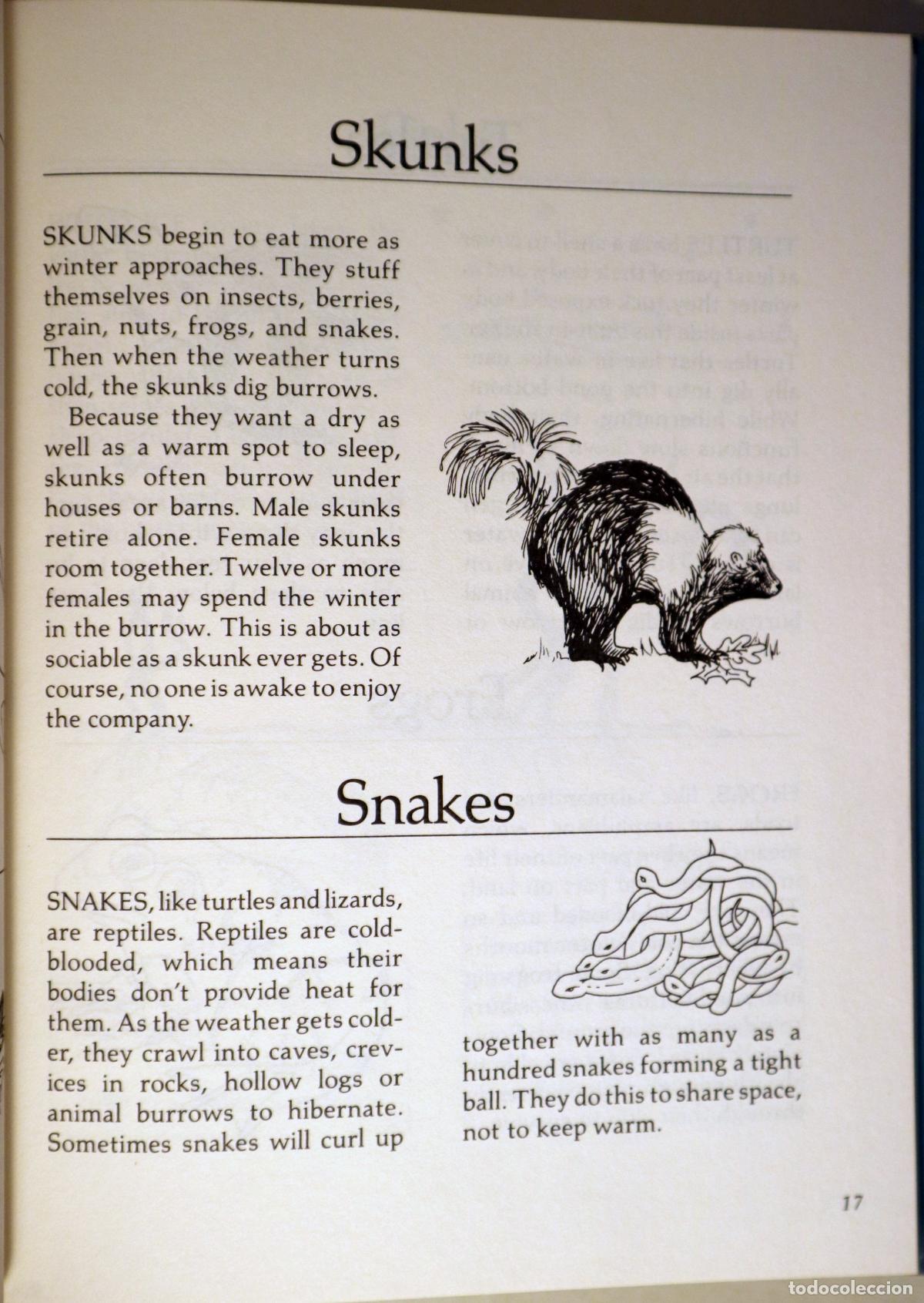 Libros de segunda mano: MARKLE, Sandra - EXPLORING WINTER - New York 1984 - Ilustrado - Foto 2