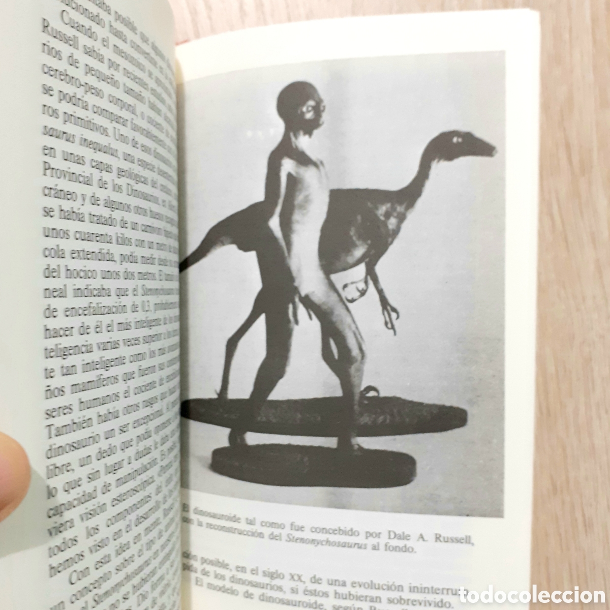 Libros de segunda mano: Libro EL ENIGMA DE LOS DINOSAURIOS - Foto 7