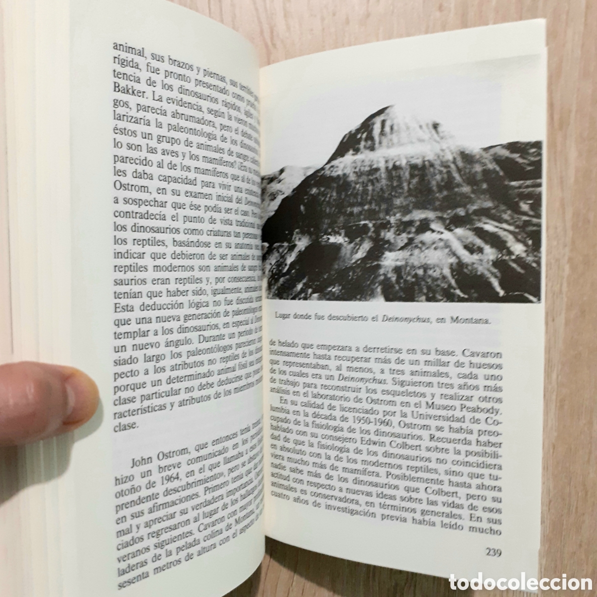 Libros de segunda mano: Libro EL ENIGMA DE LOS DINOSAURIOS - Foto 8
