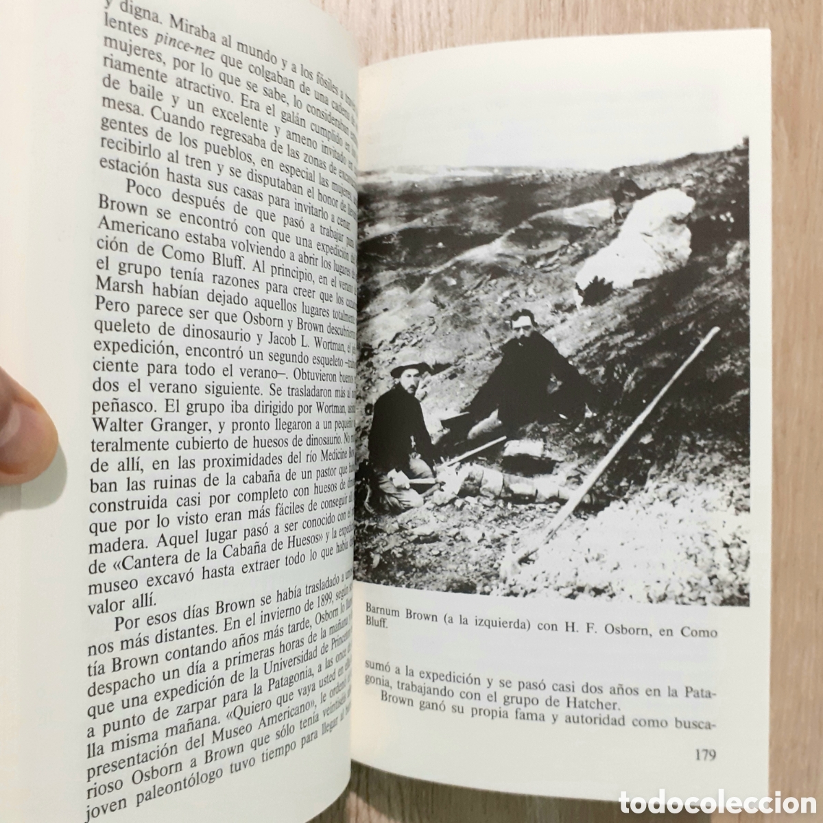 Libros de segunda mano: Libro EL ENIGMA DE LOS DINOSAURIOS - Foto 9