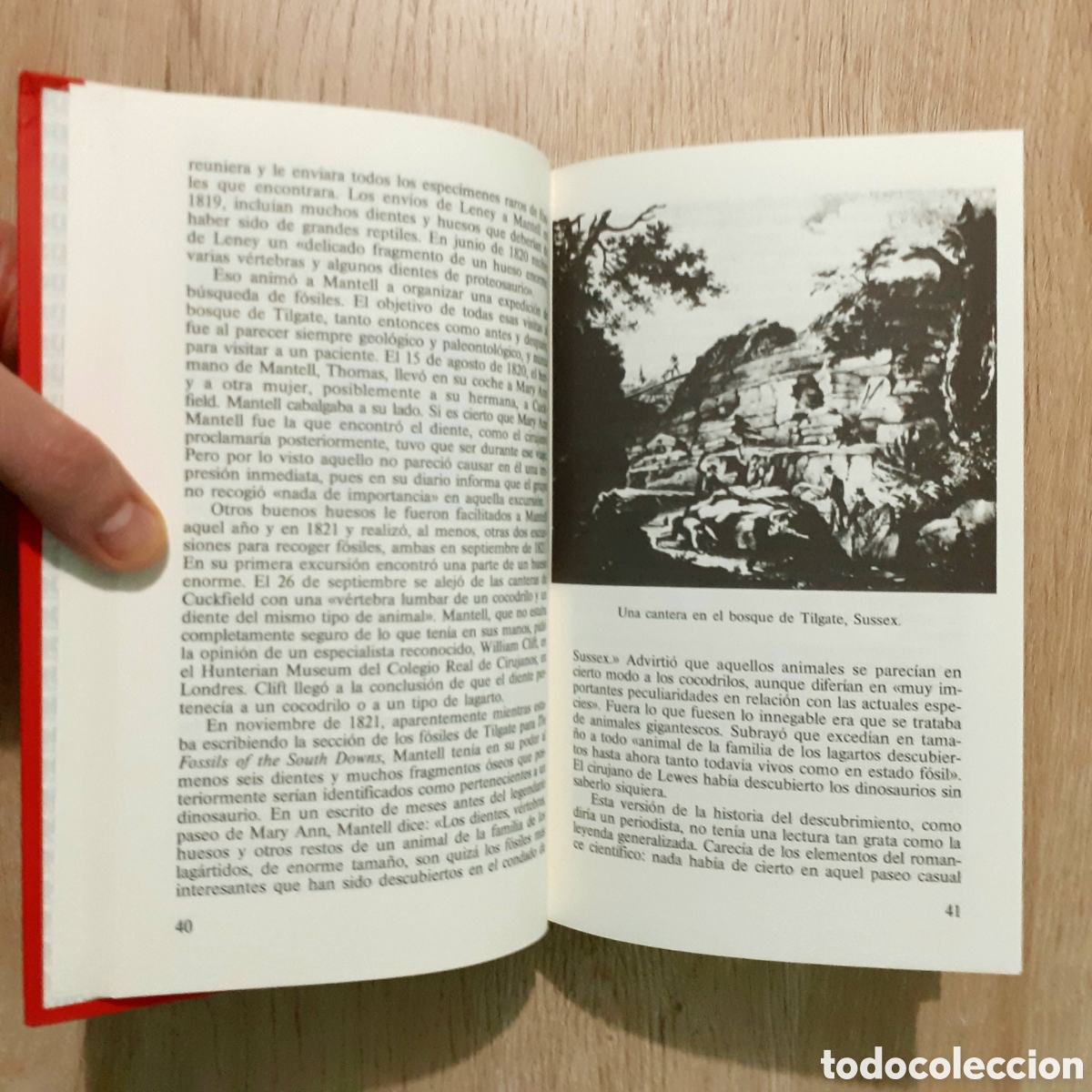 Libros de segunda mano: Libro EL ENIGMA DE LOS DINOSAURIOS - Foto 10