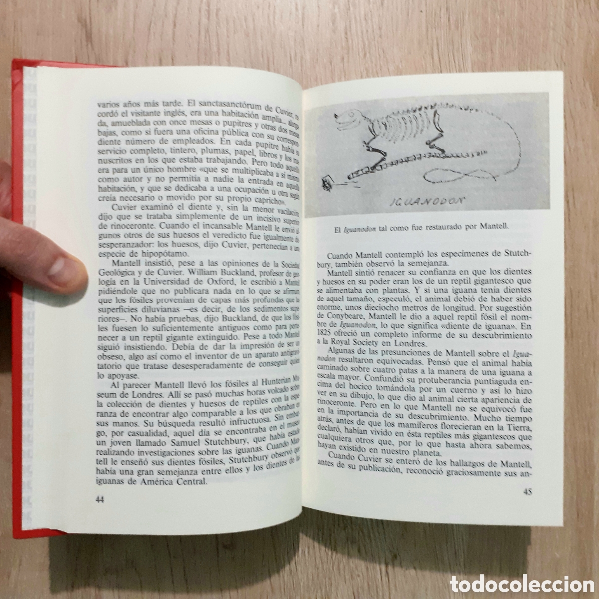 Libros de segunda mano: Libro EL ENIGMA DE LOS DINOSAURIOS - Foto 11