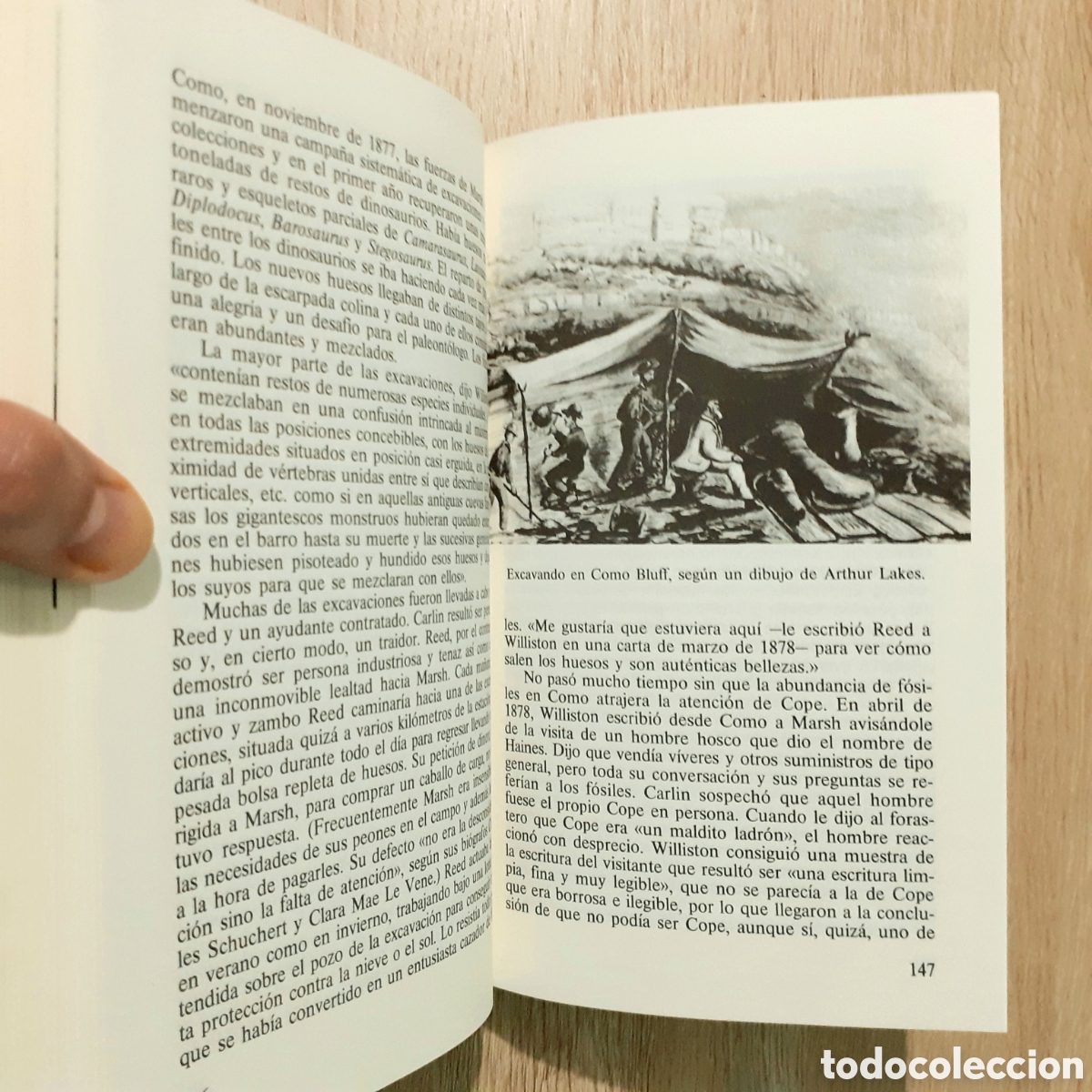 Libros de segunda mano: Libro EL ENIGMA DE LOS DINOSAURIOS - Foto 12