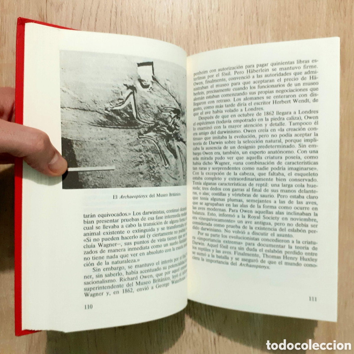 Libros de segunda mano: Libro EL ENIGMA DE LOS DINOSAURIOS - Foto 6