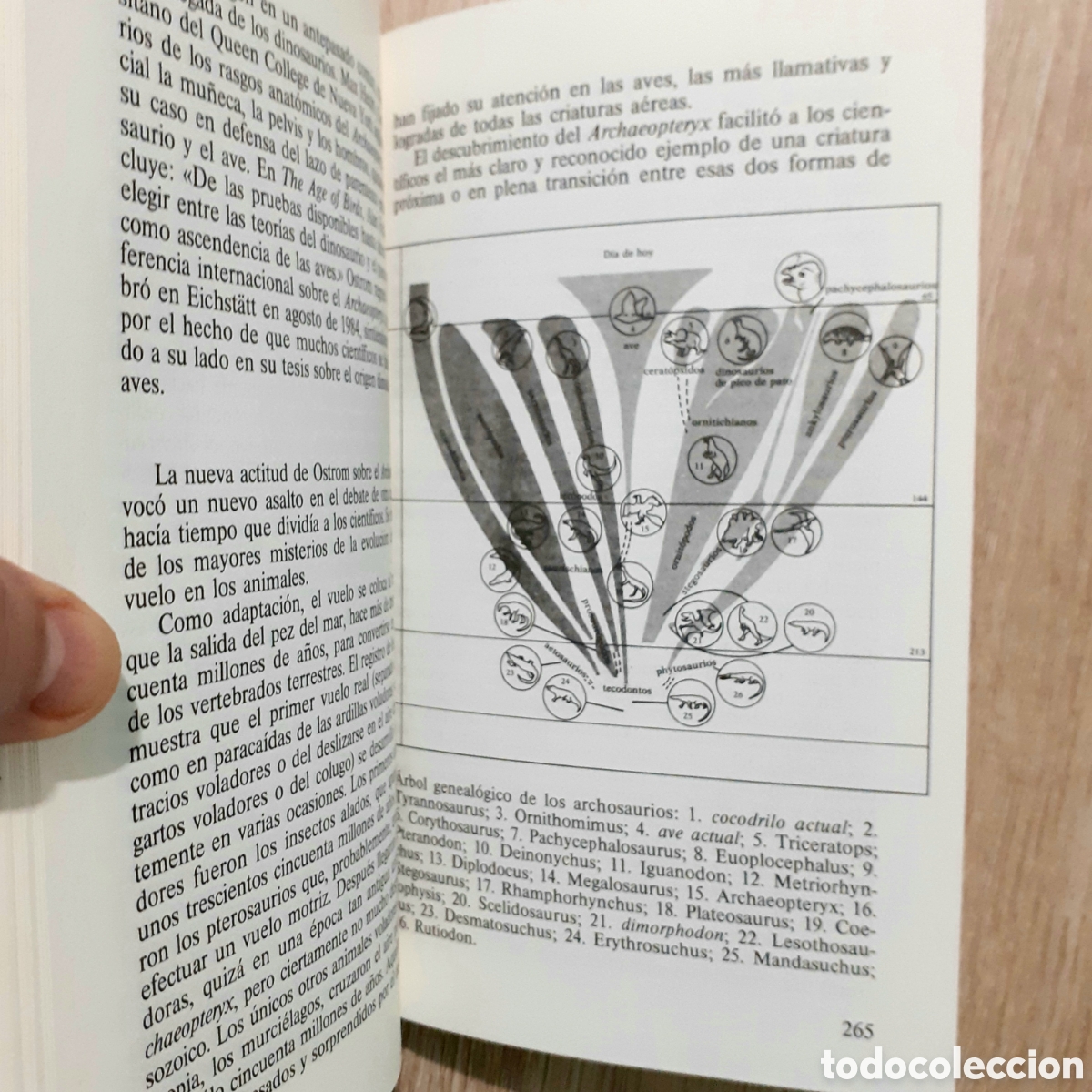 Libros de segunda mano: Libro EL ENIGMA DE LOS DINOSAURIOS - Foto 13