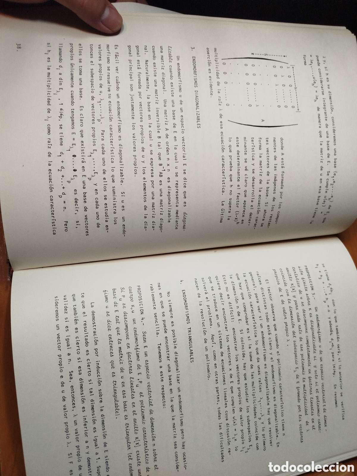 Libros de segunda mano de ciencias: Cursos de matem&aacute;ticas. C&iacute;rculo editor universo.J.l. S&aacute;nchez. Dos tomos - Foto 4