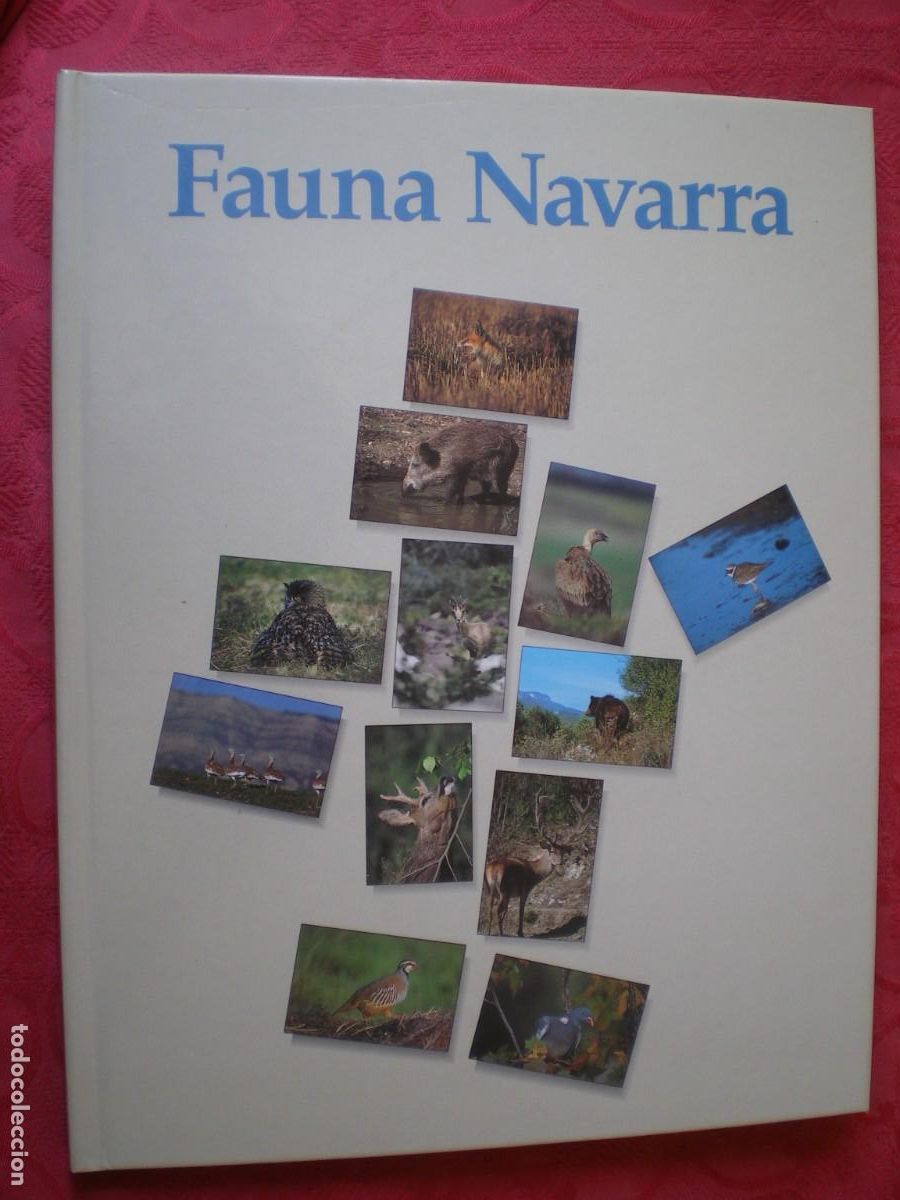 Libros de segunda mano: FAUNA NAVARRA. GOBIERNO DE NAVARRA. - Foto 1