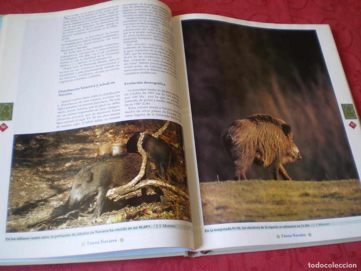 Libros de segunda mano: FAUNA NAVARRA. GOBIERNO DE NAVARRA. - Foto 3