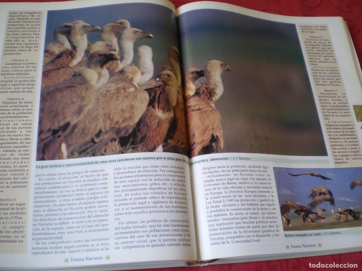 Libros de segunda mano: FAUNA NAVARRA. GOBIERNO DE NAVARRA. - Foto 4