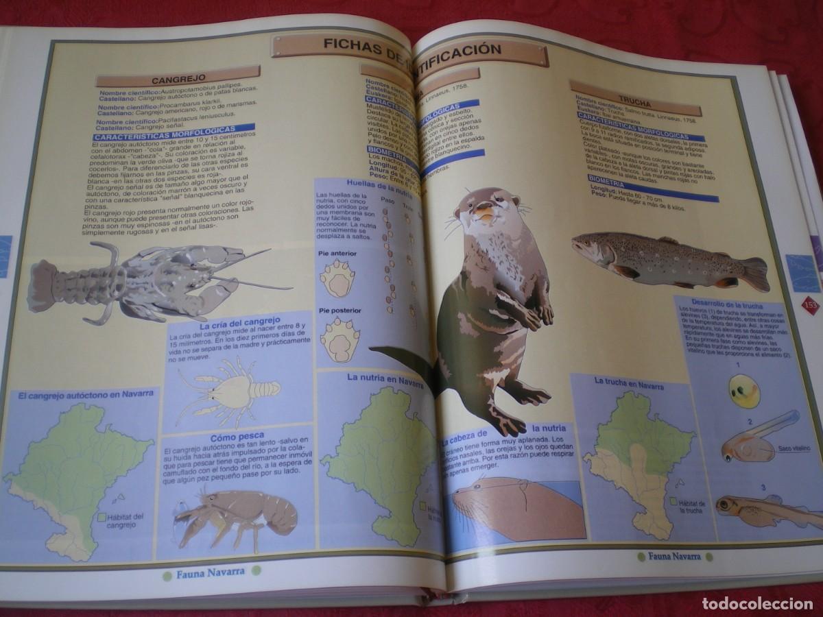 Libros de segunda mano: FAUNA NAVARRA. GOBIERNO DE NAVARRA. - Foto 5