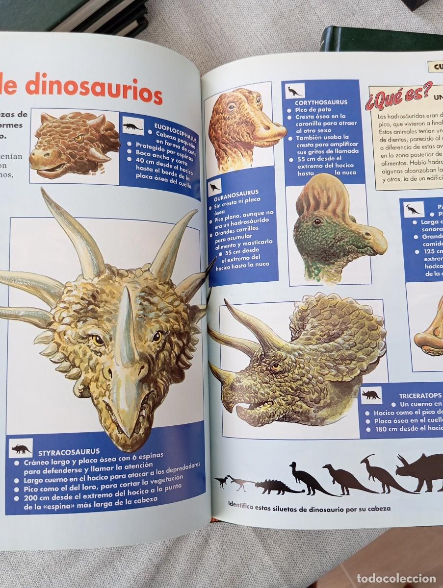 Libros de segunda mano: Dinosaurios 5 tomos completa - Foto 8