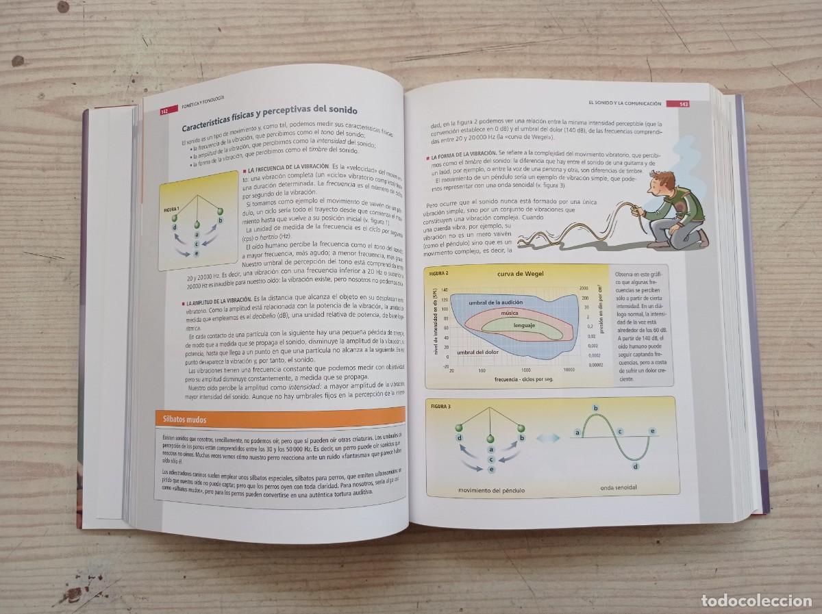 Libros de segunda mano de ciencias: El Mentor De Gramatica - Con Ejercicios Resueltos - Con CD-ROM - 2012 - Editorial Oceano - Foto 5