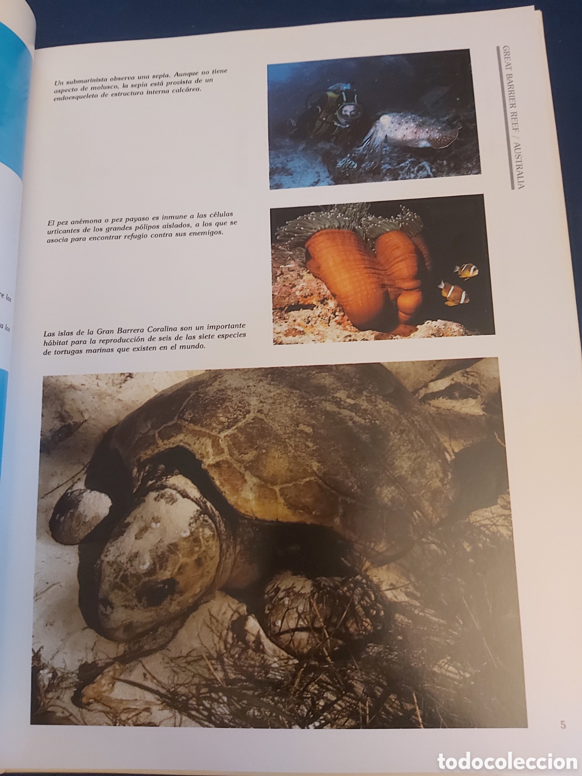 Libros de segunda mano: PARQUES NATURALES LIBSA ADENA WWF 1996 - Foto 5