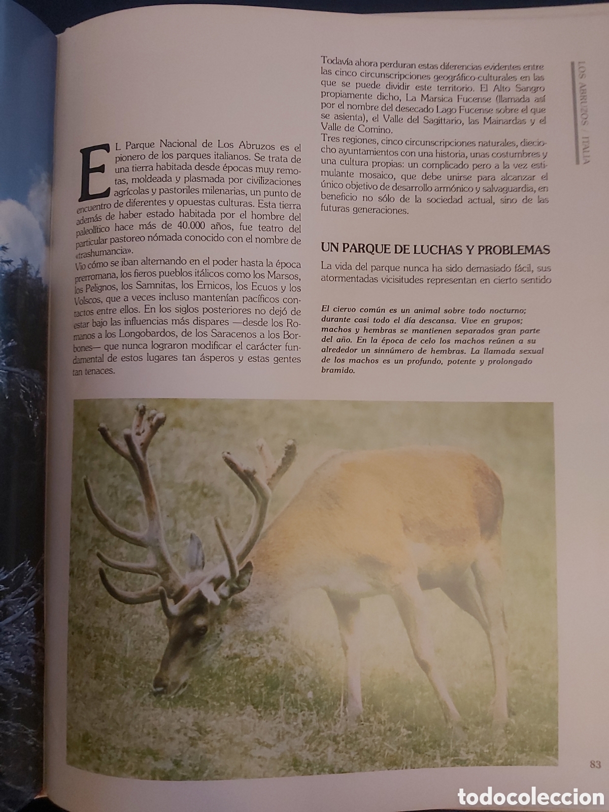 Libros de segunda mano: PARQUES NATURALES LIBSA ADENA WWF 1996 - Foto 6