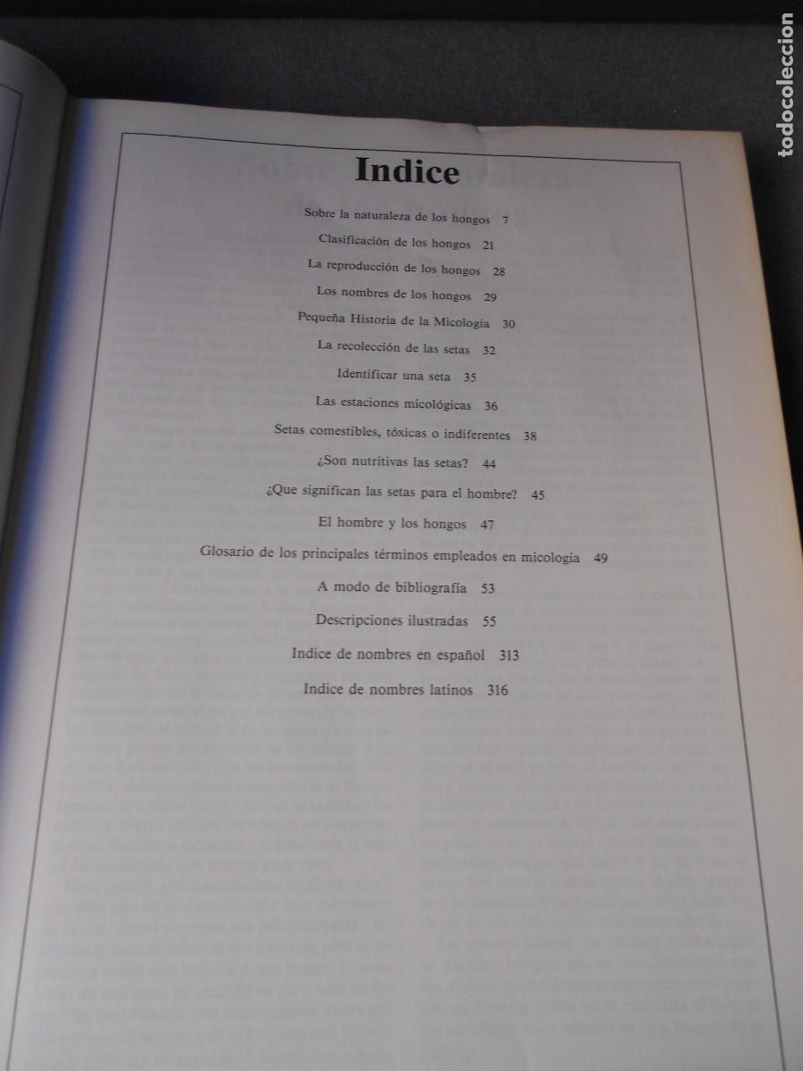 Libros de segunda mano: EL LIBRO DE LAS SETAS - Foto 3
