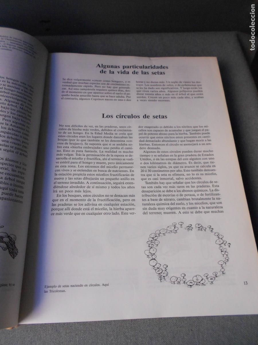 Libros de segunda mano: EL LIBRO DE LAS SETAS - Foto 4