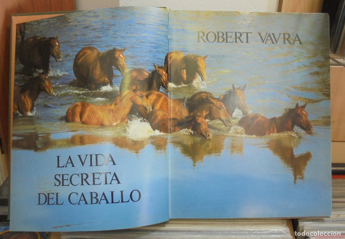 Libros de segunda mano: La vida secreta del caballo. Robert Vavra - Foto 2