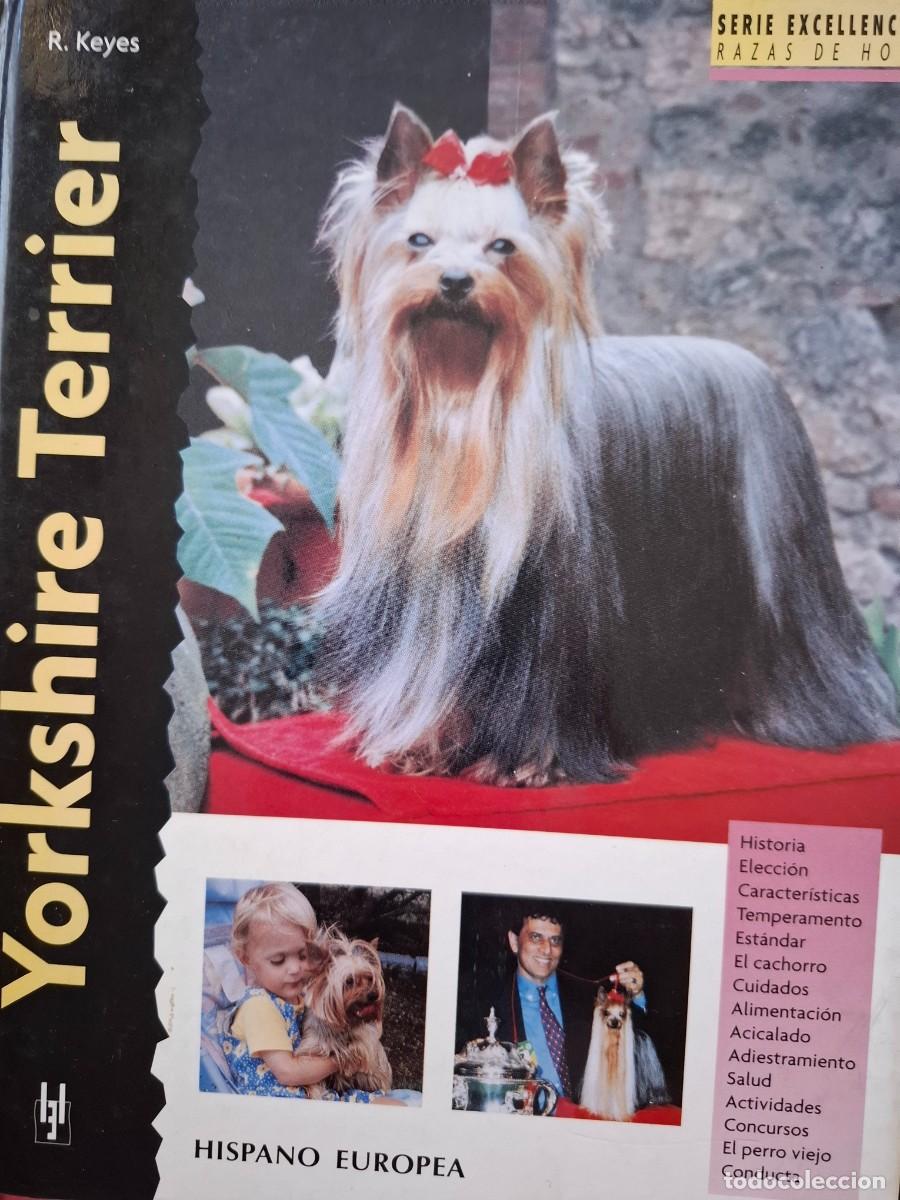 Libros de segunda mano: yorkshire terrier Rachel Keyes - Foto 1