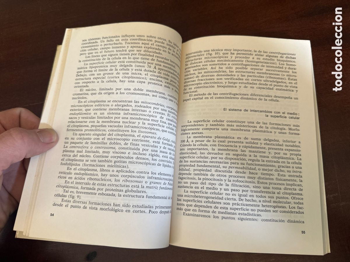 Libros de segunda mano: C&Eacute;LULAS VIVAS Y POBLACIONES CELULARES. POLICARD, A. - Foto 5
