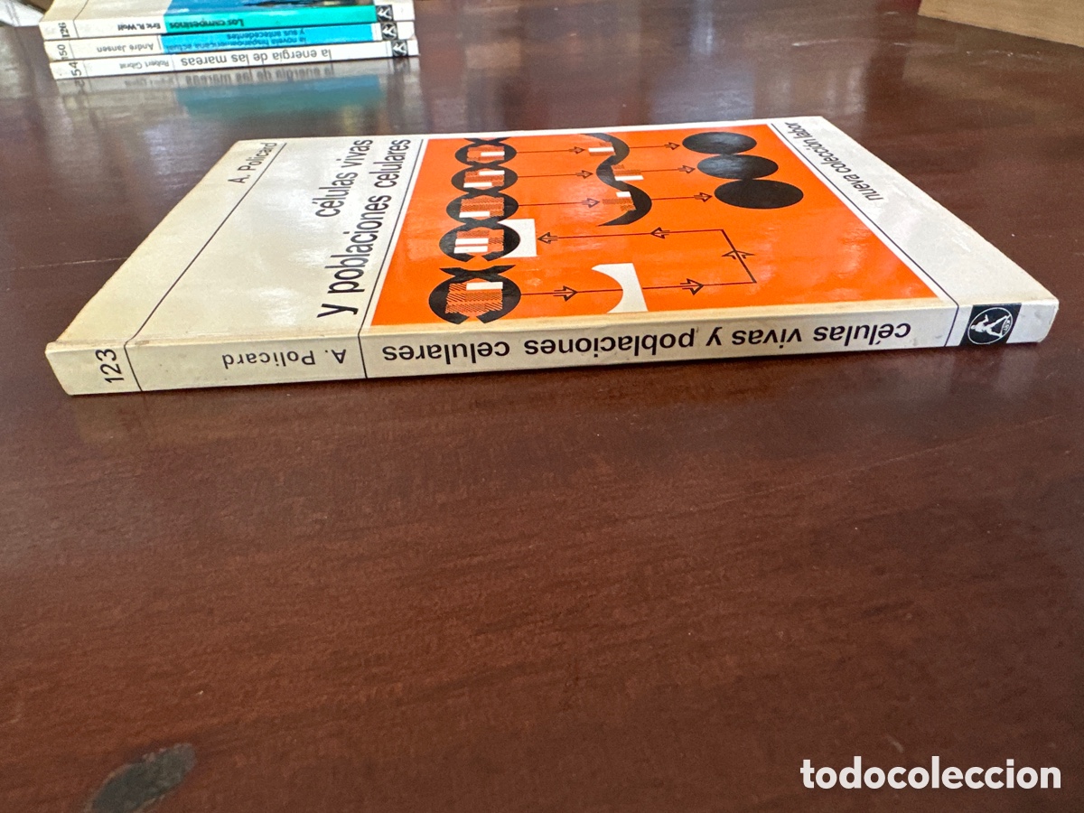 Libros de segunda mano: C&Eacute;LULAS VIVAS Y POBLACIONES CELULARES. POLICARD, A. - Foto 7