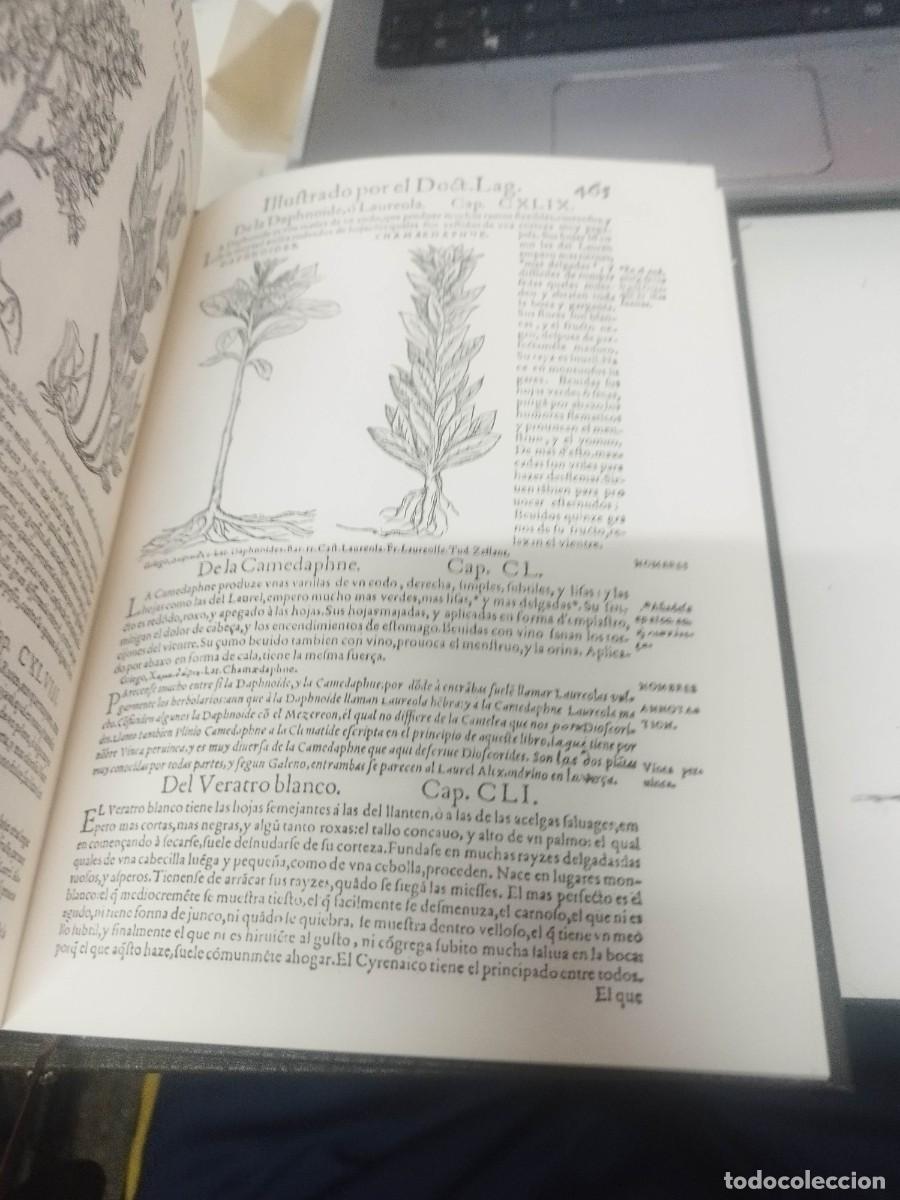 Libros de segunda mano: Pedacio Dioscorides. Anazarbeo, acerca de la materia medicinal y de los venenos mort&iacute;feros. - Foto 4