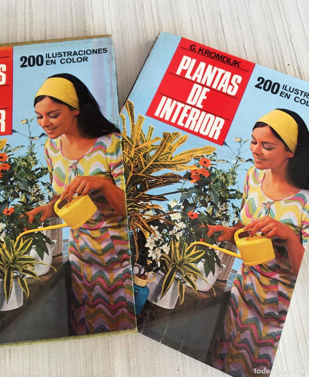Libros de segunda mano: Libro Plantas de interior de G. Kromdijk - Foto 1