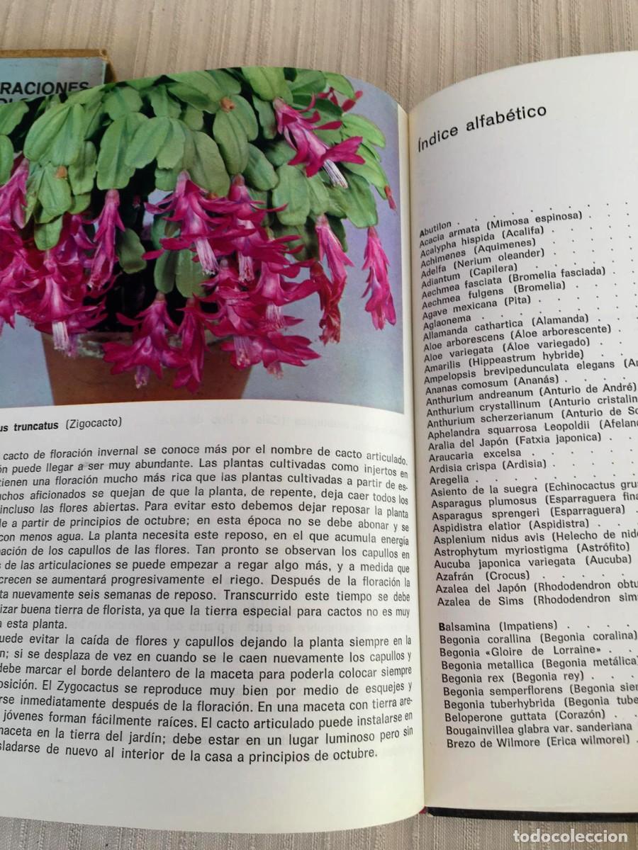 Libros de segunda mano: Libro Plantas de interior de G. Kromdijk - Foto 3
