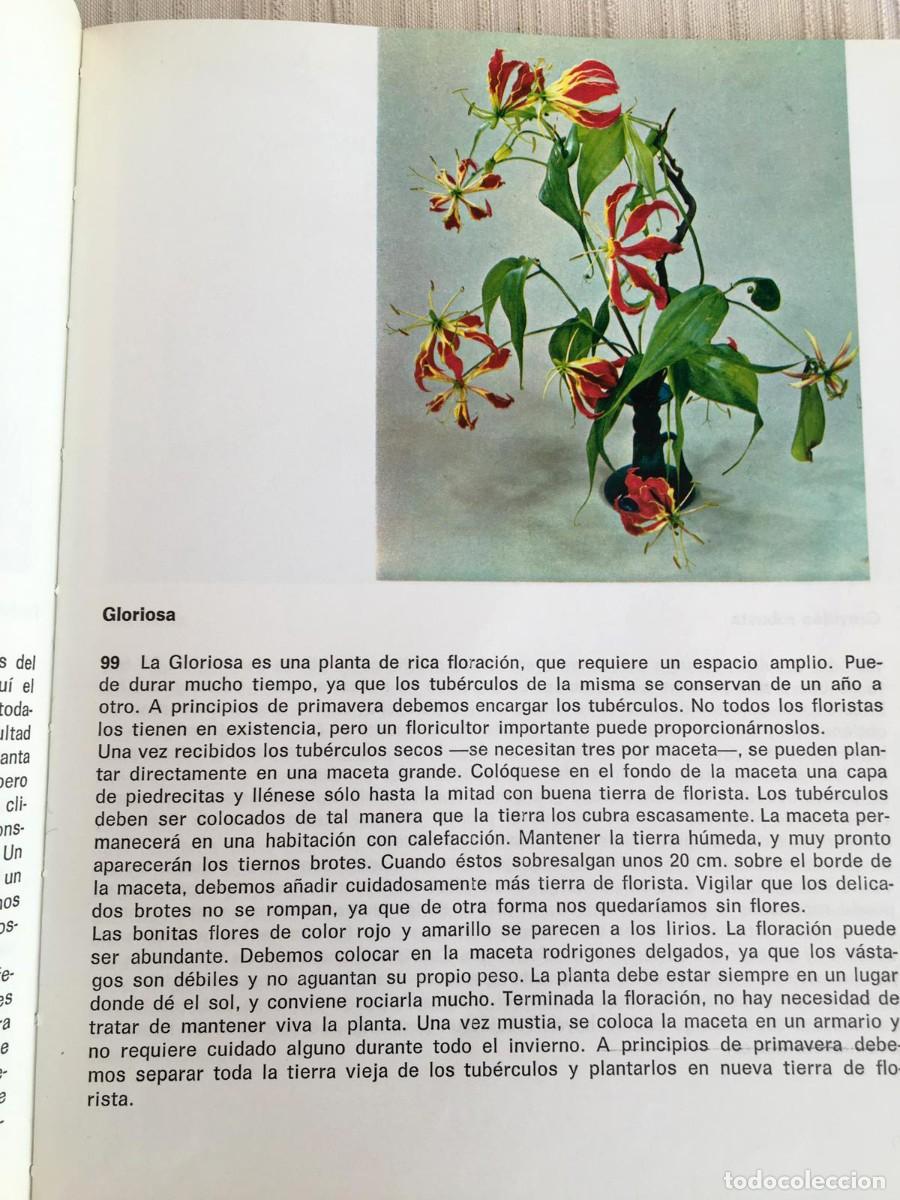 Libros de segunda mano: Libro Plantas de interior de G. Kromdijk - Foto 4