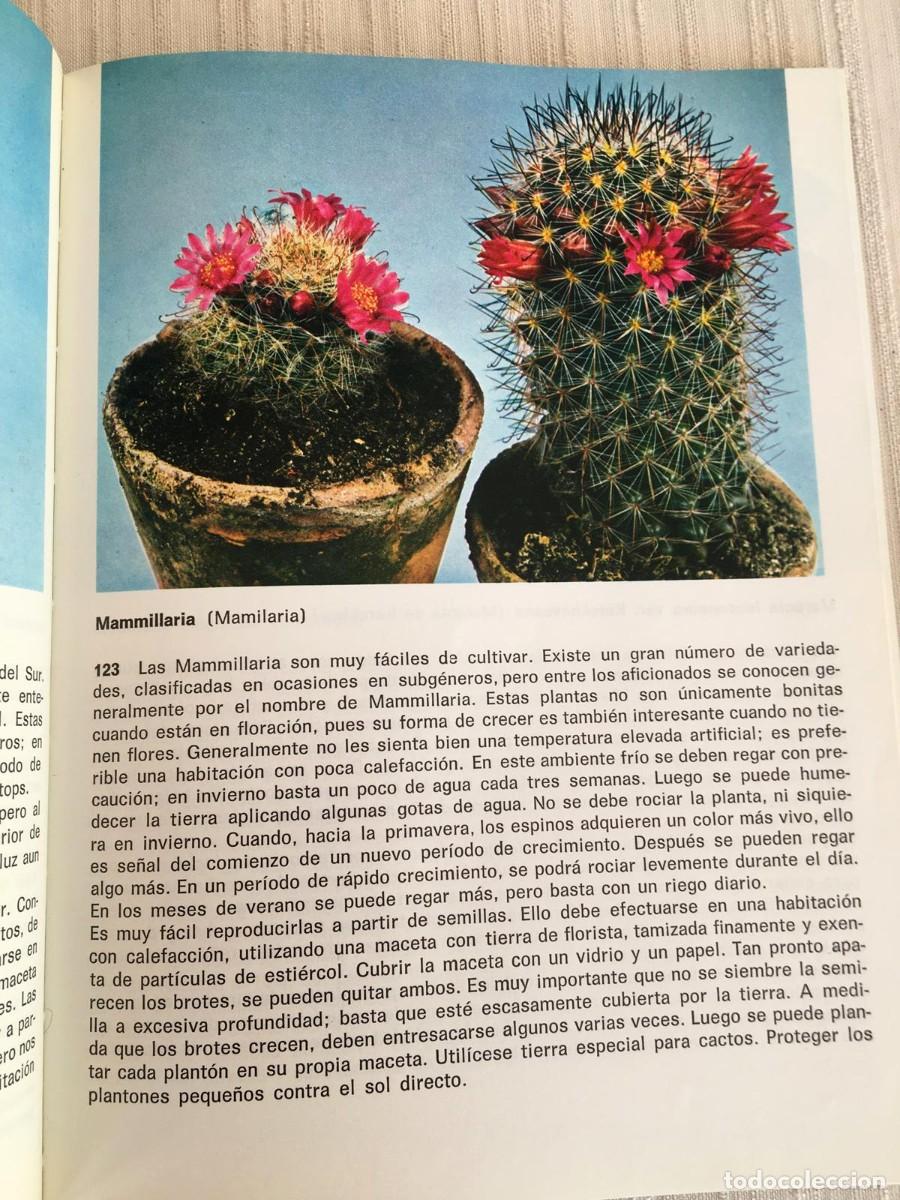 Libros de segunda mano: Libro Plantas de interior de G. Kromdijk - Foto 5