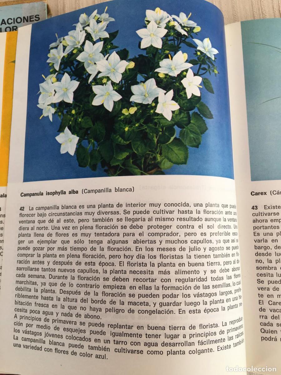 Libros de segunda mano: Libro Plantas de interior de G. Kromdijk - Foto 7