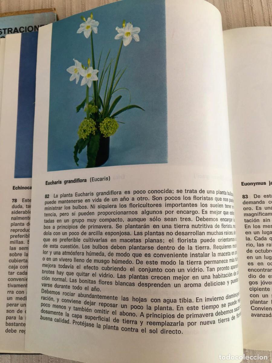 Libros de segunda mano: Libro Plantas de interior de G. Kromdijk - Foto 8