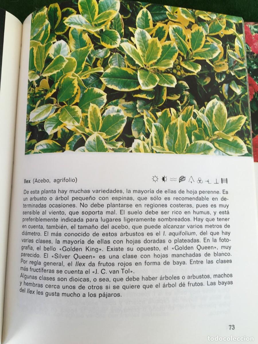 Libros de segunda mano: Libro 201 plantas de jard&iacute;n de Rob Herwig - Foto 6