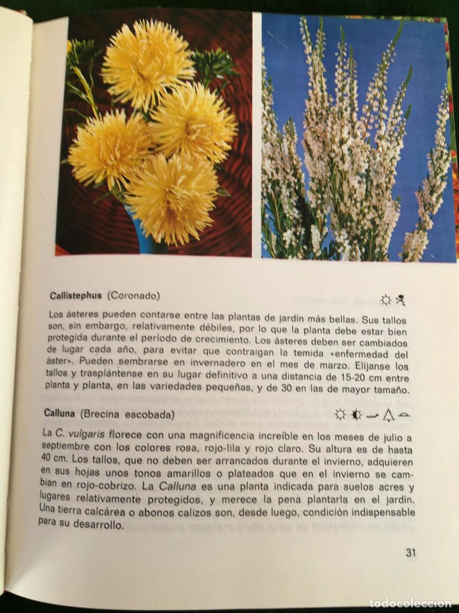Libros de segunda mano: Libro 201 plantas de jard&iacute;n de Rob Herwig - Foto 7