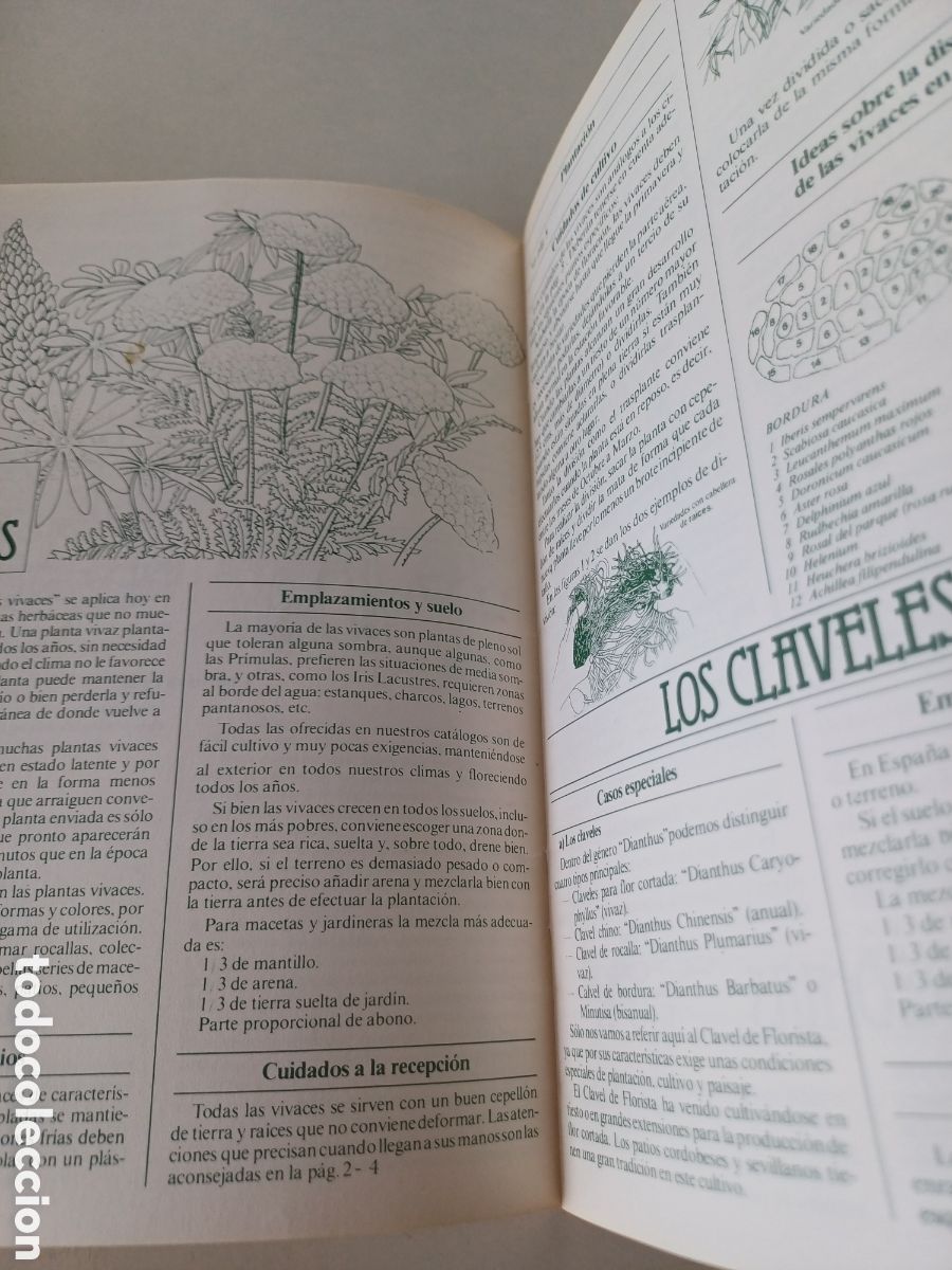 Libros de segunda mano: Manual de jardiner&iacute;a Mail Flora 1981 - Foto 3