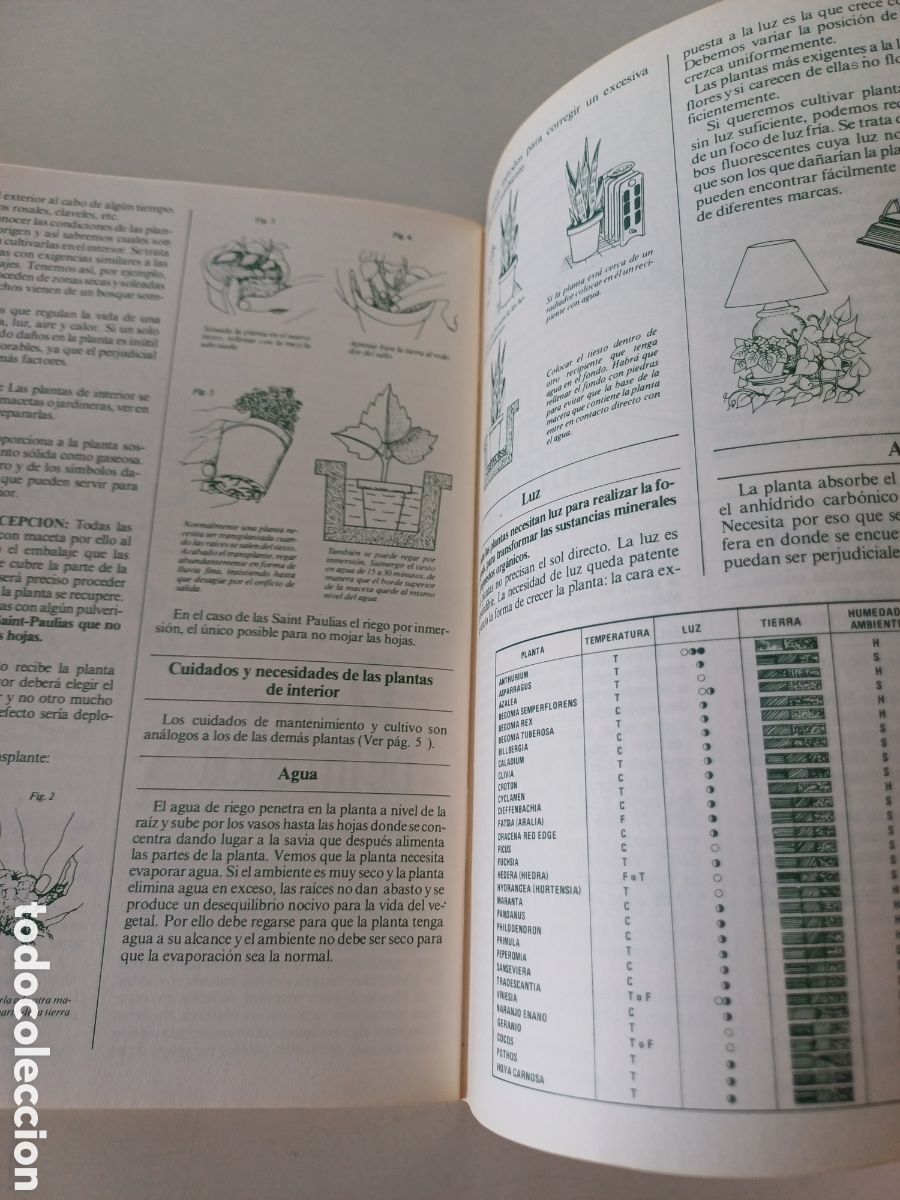 Libros de segunda mano: Manual de jardiner&iacute;a Mail Flora 1981 - Foto 4