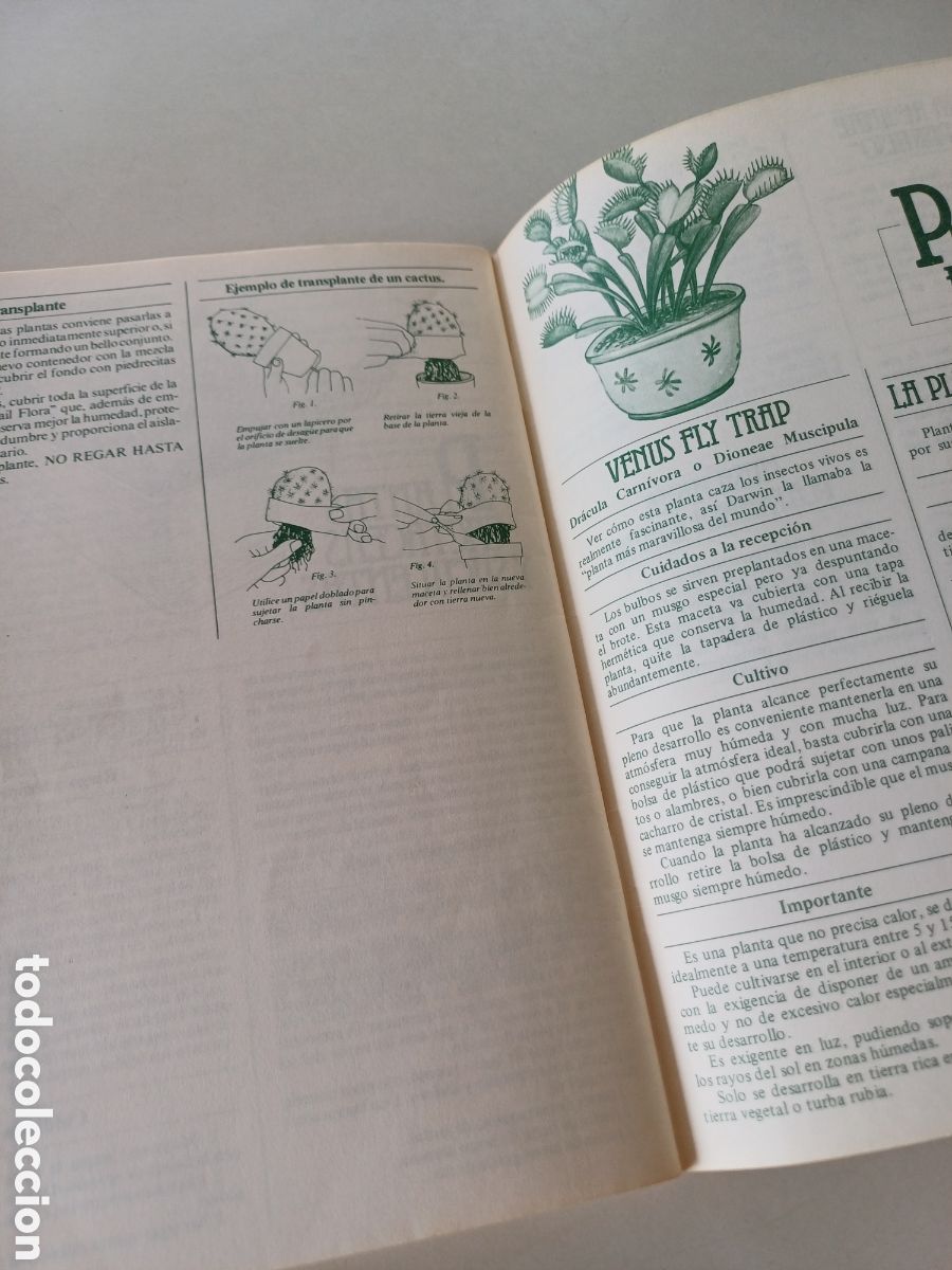 Libros de segunda mano: Manual de jardiner&iacute;a Mail Flora 1981 - Foto 5