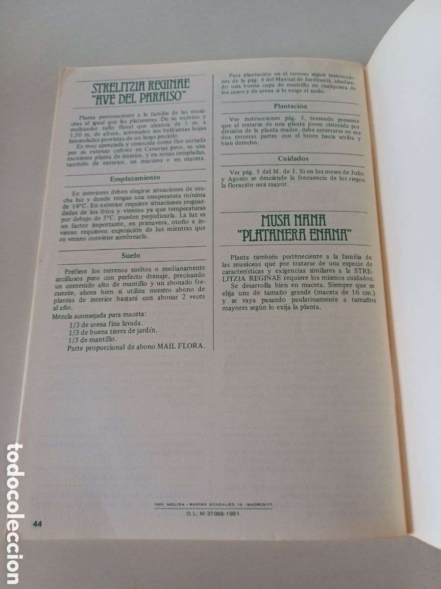 Libros de segunda mano: Manual de jardiner&iacute;a Mail Flora 1981 - Foto 6